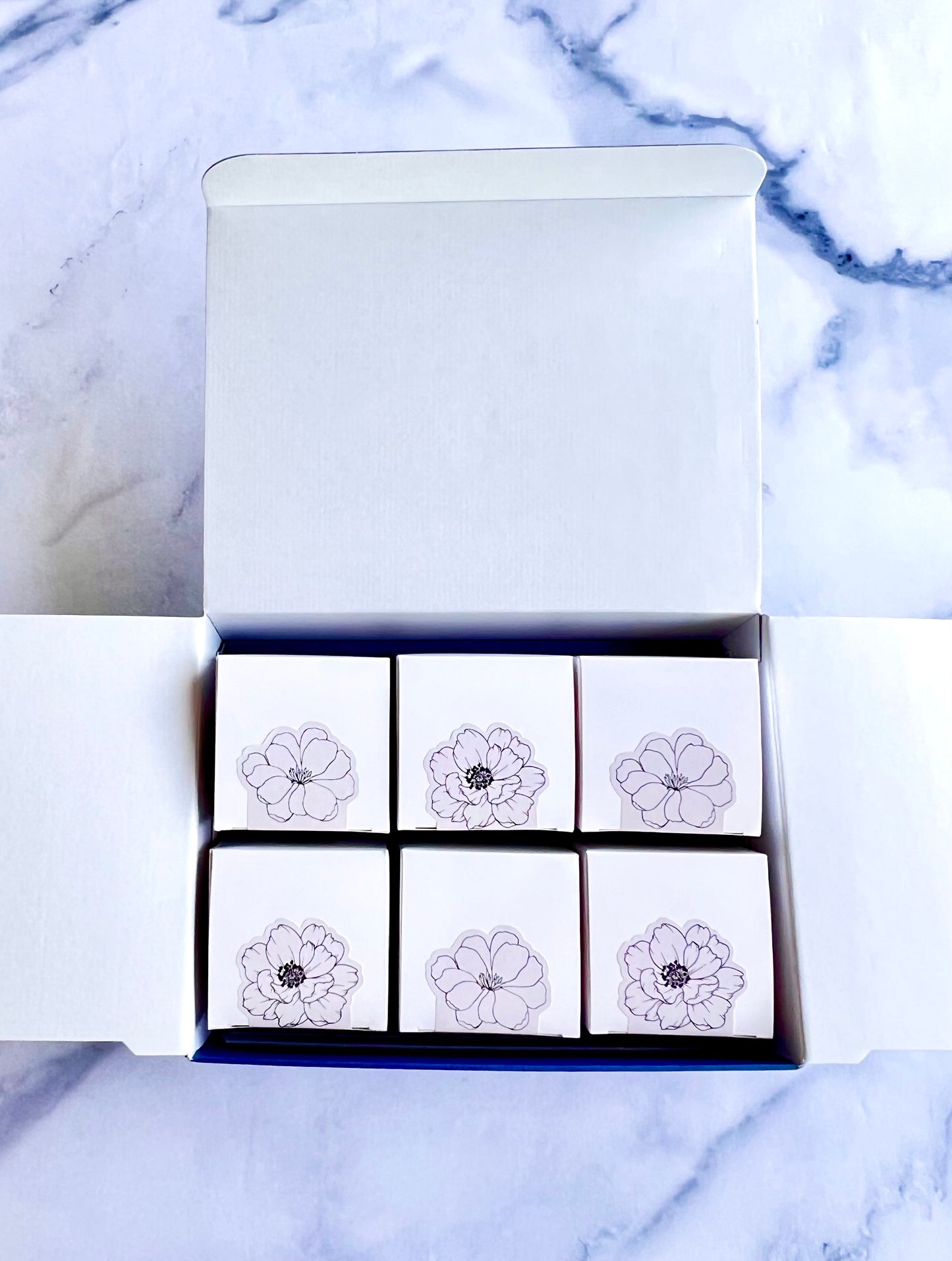 バスキュー6種アソートセット